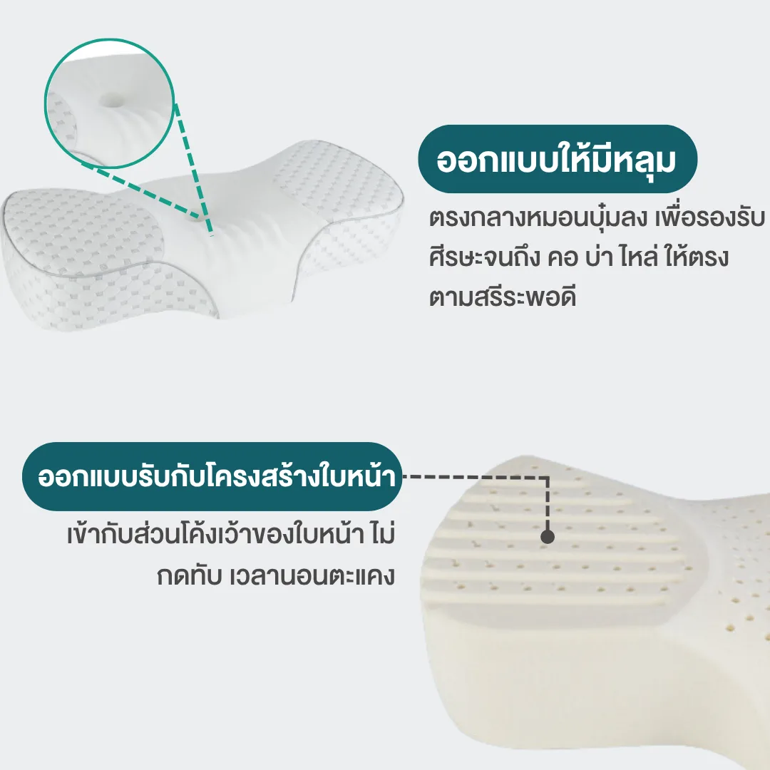 หมอนสุขภาพ Ortho Latex (ยางพารา)