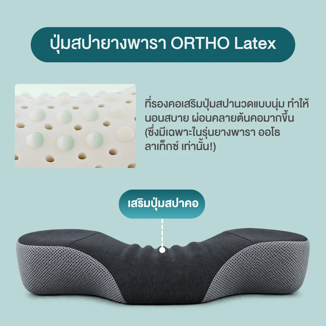 หมอนสุขภาพ Ortho Latex (ยางพารา)