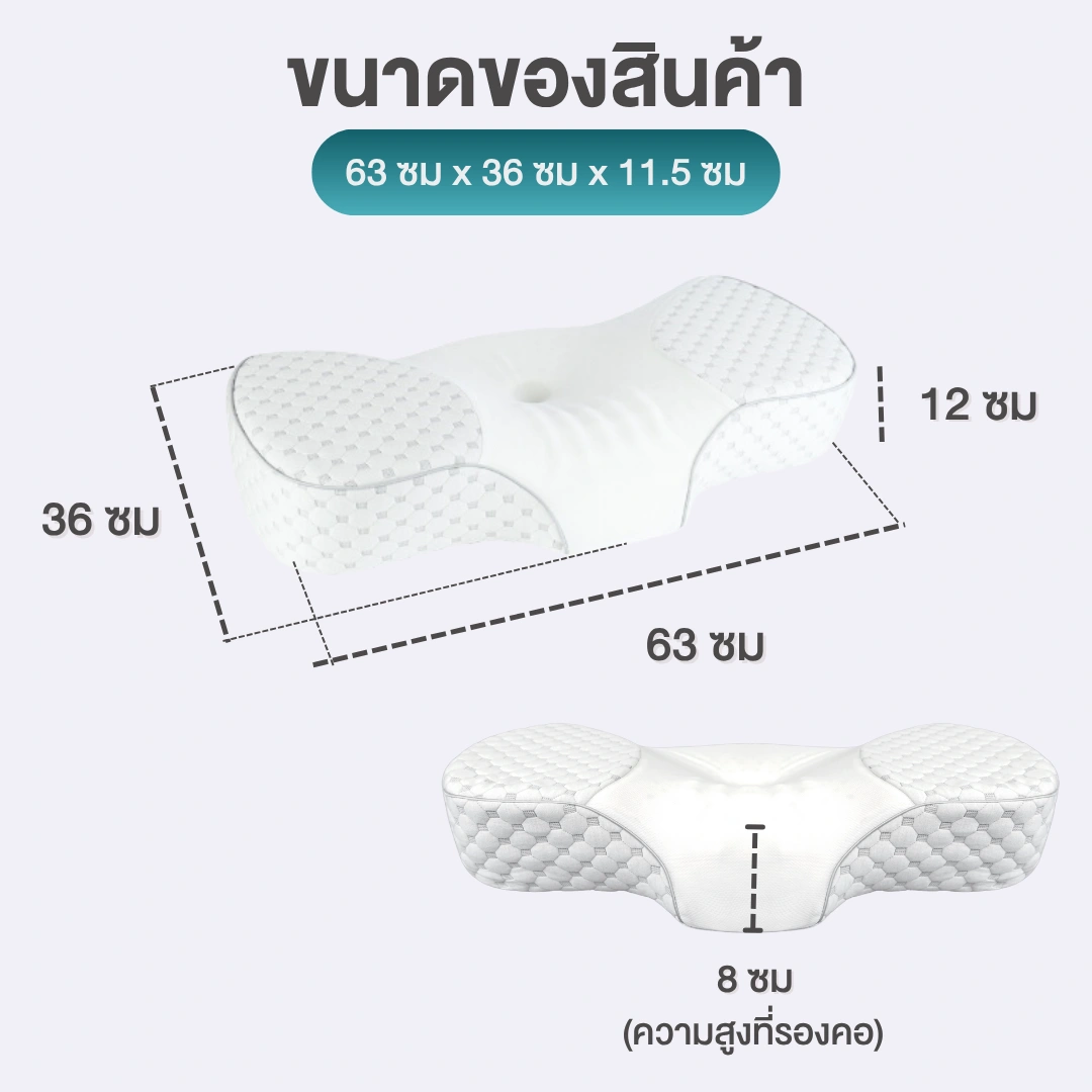 หมอนสุขภาพ Ortho Latex (ยางพารา)