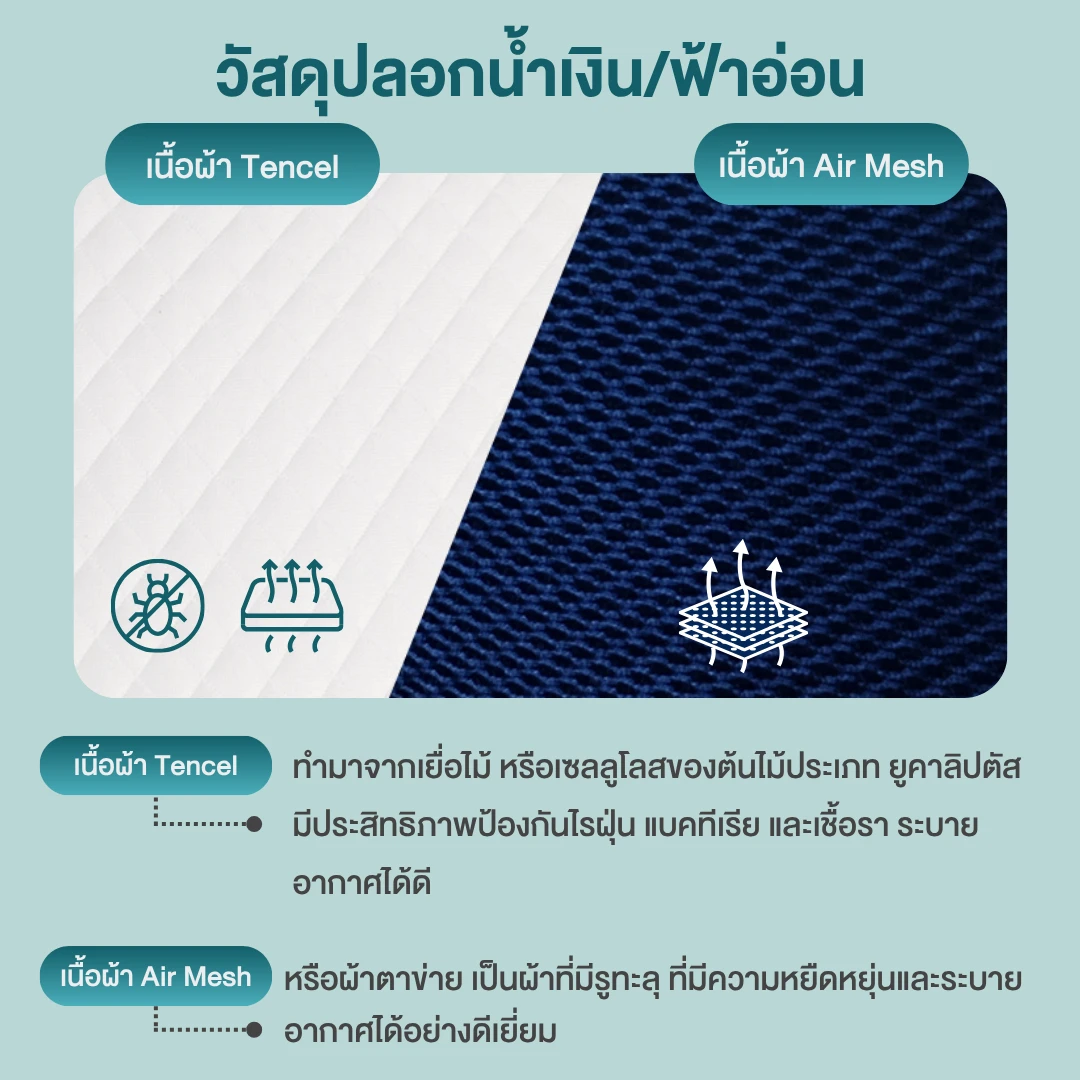 pillow-ortho-05.webp