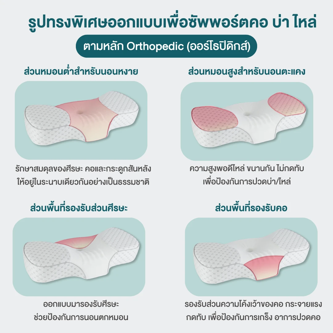 pillow-ortholatex-01.webp